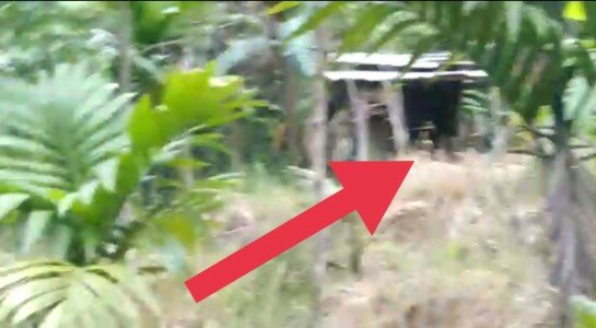 Pondok Lokasi Tempat Kejadian Perkara Pidana Persetubuhan.