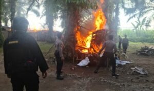 fe65b1da9d374f449accefd6e882447b